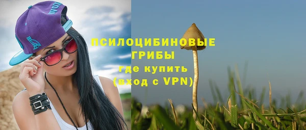 дурь Надым