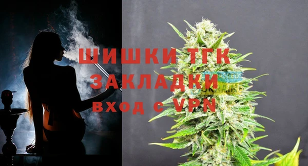 дурь Надым