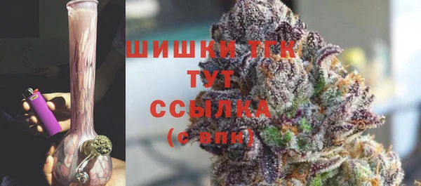 дурь Надым