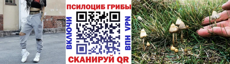 Галлюциногенные грибы мицелий  ссылка на мегу как войти  Разумное 